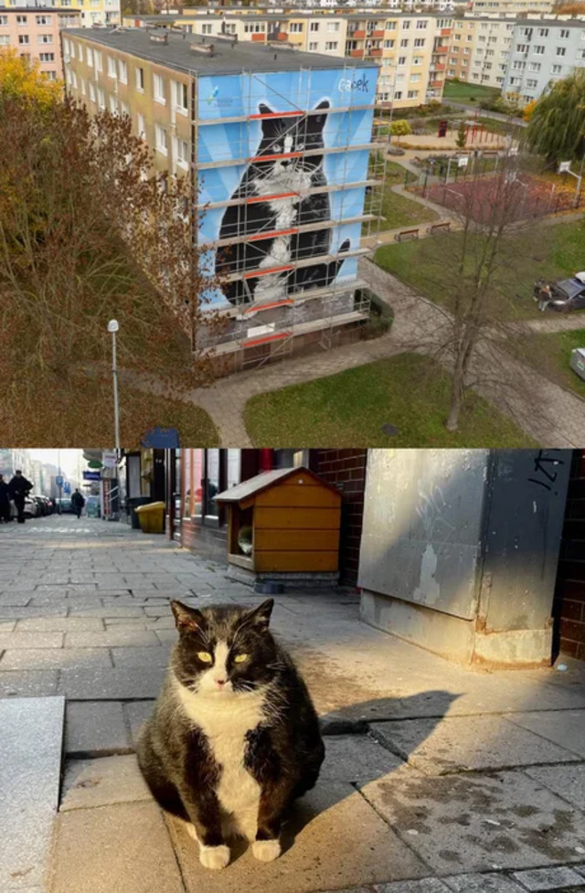 Bildschirmarbeiter - Picdump KW 45/2025