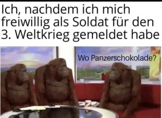 Bildschirmarbeiter - Picdump KW 45/2025