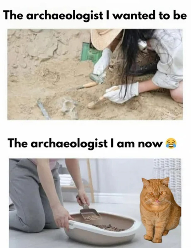 Bildschirmarbeiter - Picdump KW 45/2025