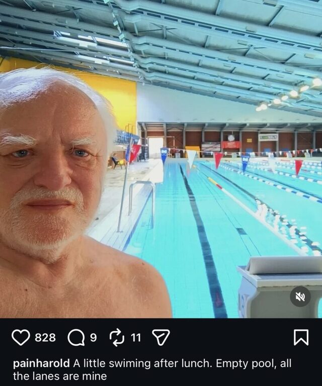 Bildschirmarbeiter - Picdump KW 45/2025