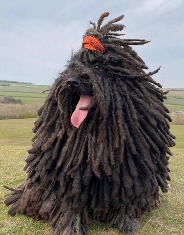 Bildschirmarbeiter - Picdump KW 45/2025