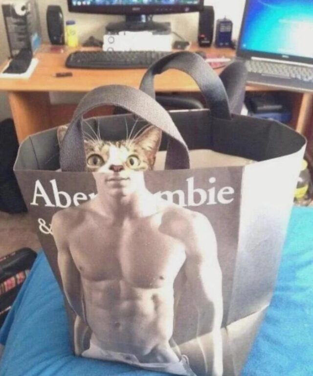 Bildschirmarbeiter - Picdump KW 45/2025