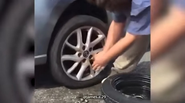 Bildschirmarbeiter - Picdump KW 45/2025