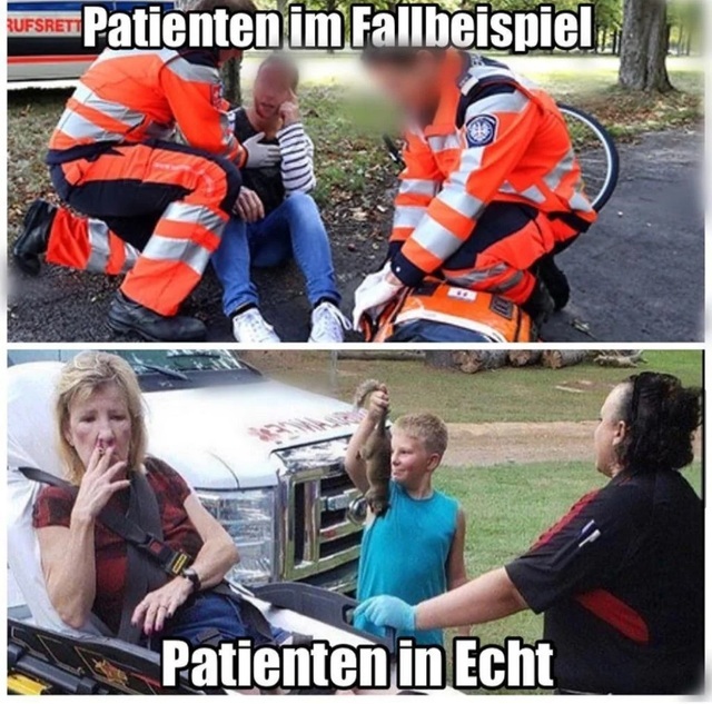 Bildschirmarbeiter - Picdump KW 45/2025