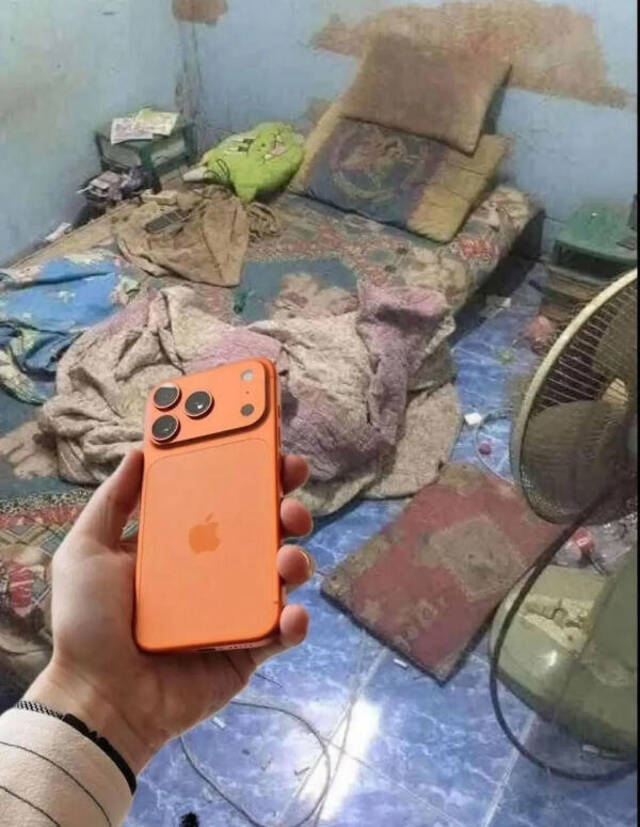 Bildschirmarbeiter - Picdump KW 45/2025