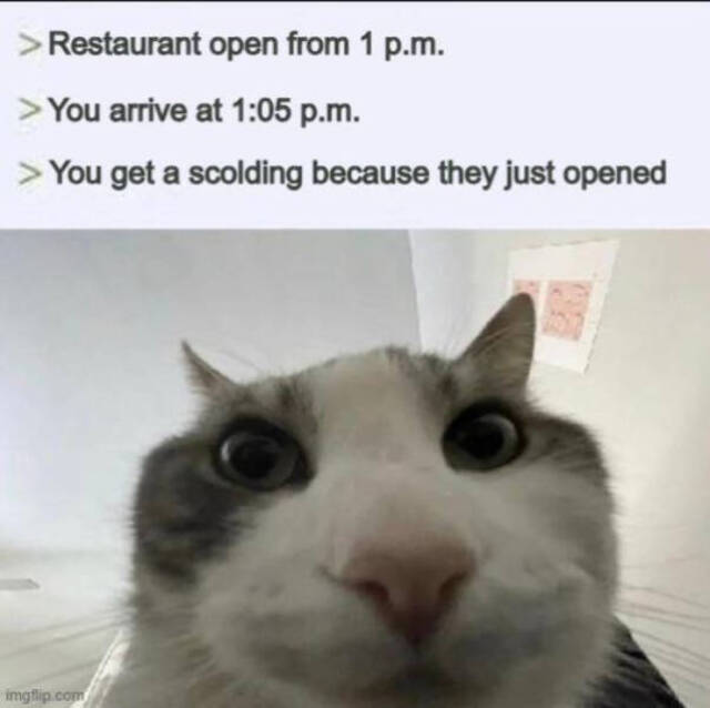 Bildschirmarbeiter - Picdump KW 45/2025