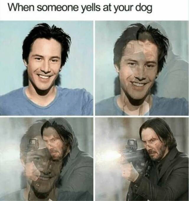 Bildschirmarbeiter - Picdump KW 45/2025