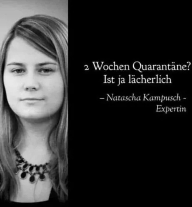 Bildschirmarbeiter - Picdump KW46 2020