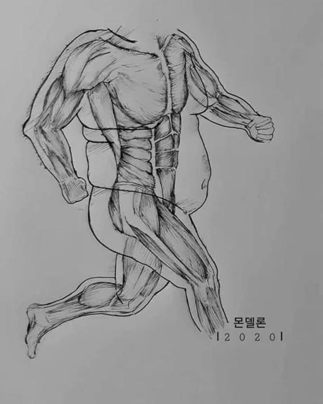 Bildschirmarbeiter - Picdump KW46 2020