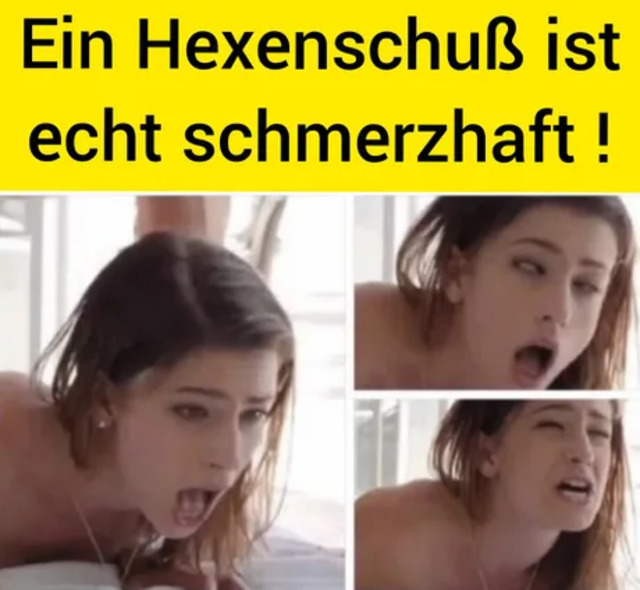 Bildschirmarbeiter - Picdump KW46 2020