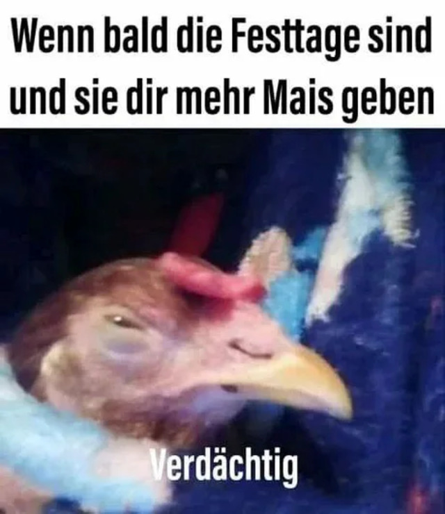 Bildschirmarbeiter - Picdump KW46 2020