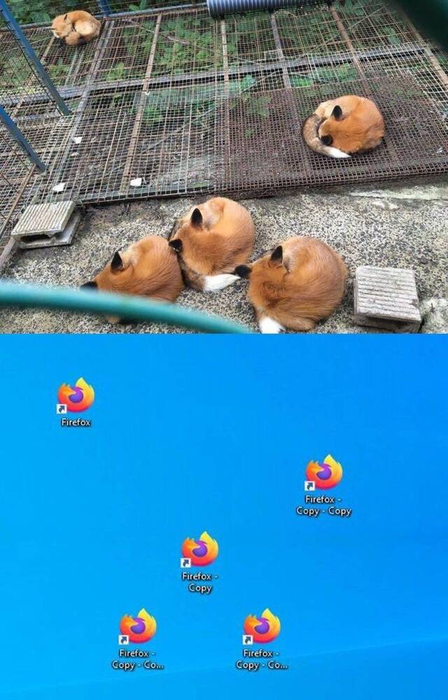 Bildschirmarbeiter - Picdump KW46 2020