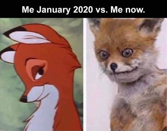 Bildschirmarbeiter - Picdump KW46 2020