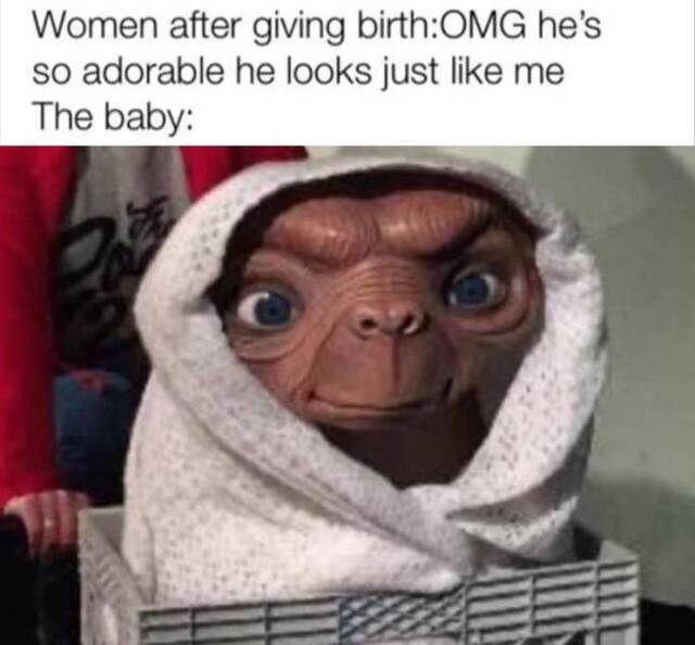 Bildschirmarbeiter - Picdump KW46 2020