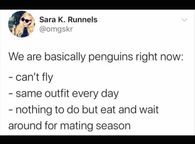 Bildschirmarbeiter - Picdump KW46 2020