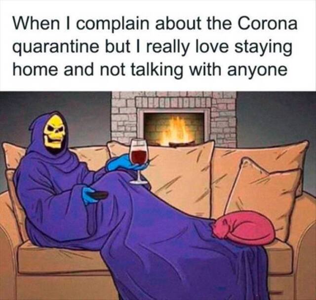 Bildschirmarbeiter - Picdump KW46 2020