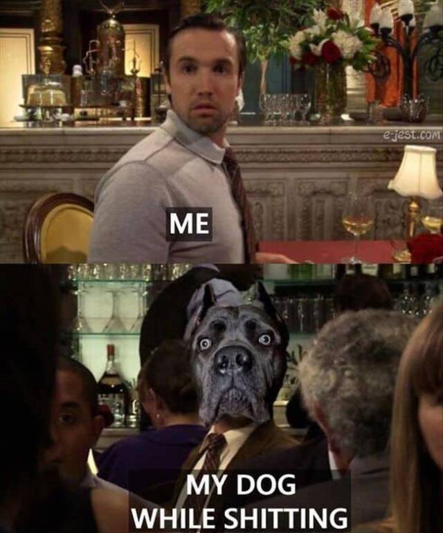 Bildschirmarbeiter - Picdump KW46 2020