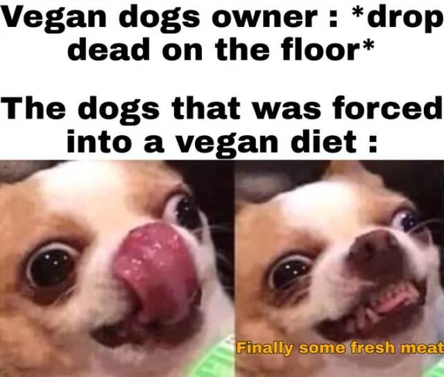 Bildschirmarbeiter - Picdump KW46 2020