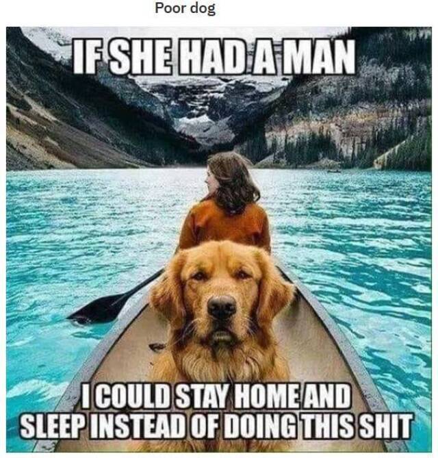 Bildschirmarbeiter - Picdump KW46 2020