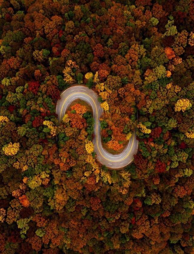 Bildschirmarbeiter - Picdump KW46 2020