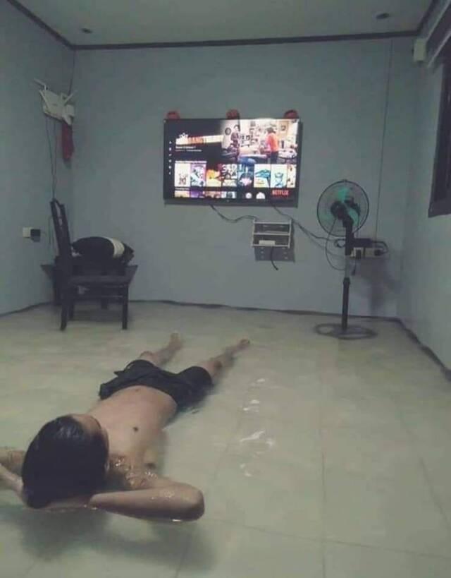 Bildschirmarbeiter - Picdump KW46 2020