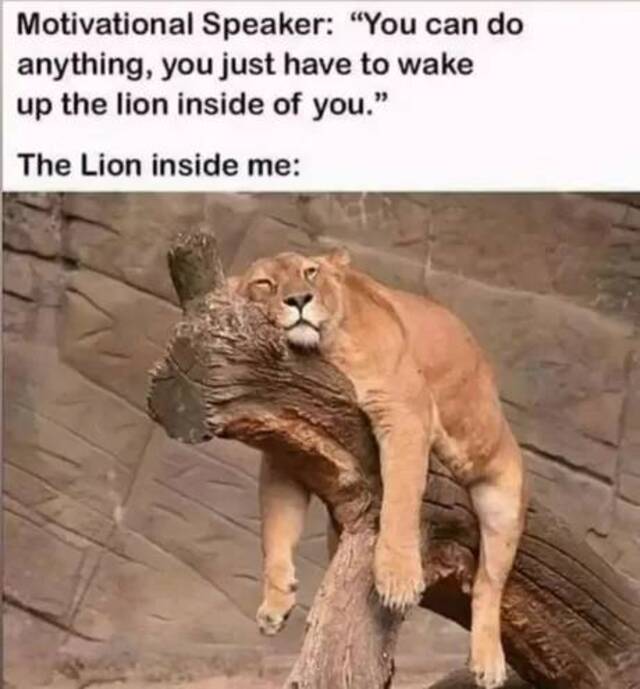 Nachschlag - Bildschirmarbeiter - Picdump KW46 2021