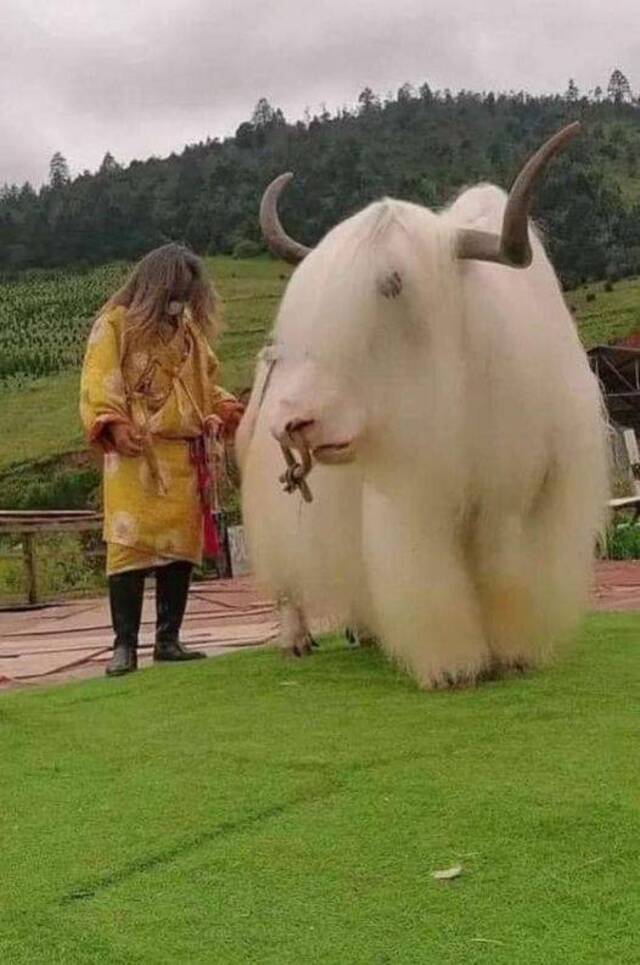 Nachschlag - Bildschirmarbeiter - Picdump KW46 2021