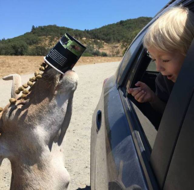 Nachschlag - Bildschirmarbeiter - Picdump KW46 2021