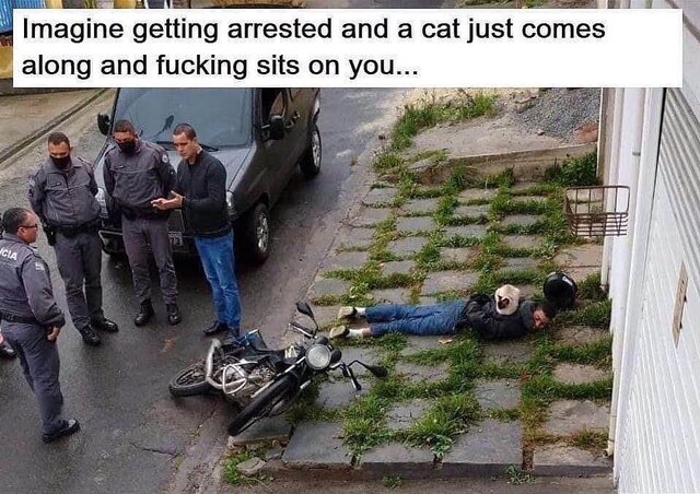 Nachschlag - Bildschirmarbeiter - Picdump KW46 2021