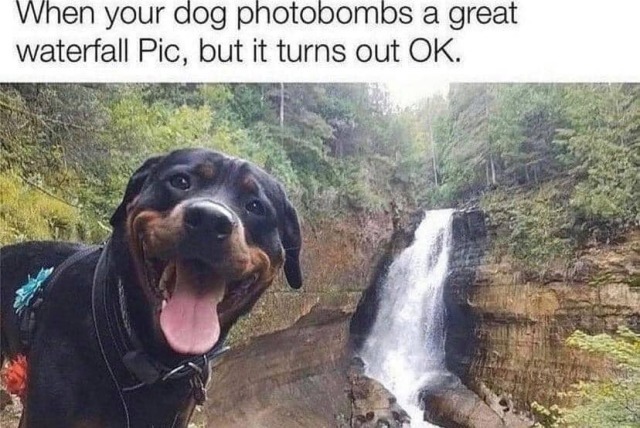 Nachschlag - Bildschirmarbeiter - Picdump KW46 2021