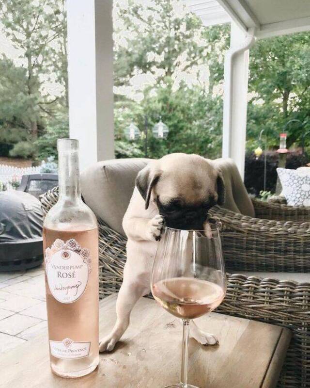 Nachschlag - Bildschirmarbeiter - Picdump KW46 2021