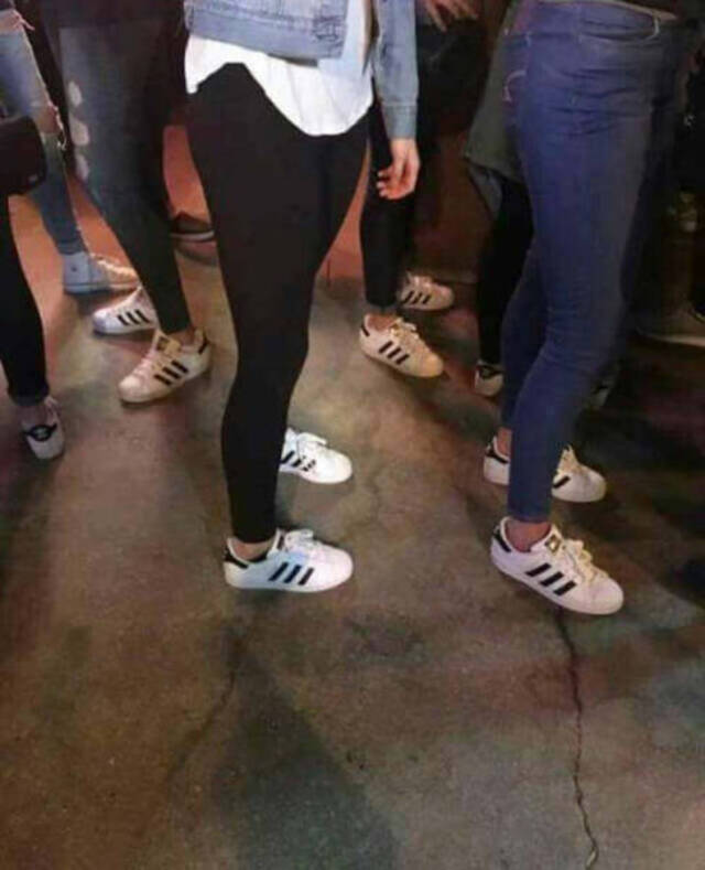 Bildschirmarbeiter - Picdump KW 46/2025