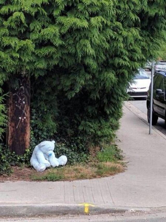 Bildschirmarbeiter - Picdump KW 46/2025