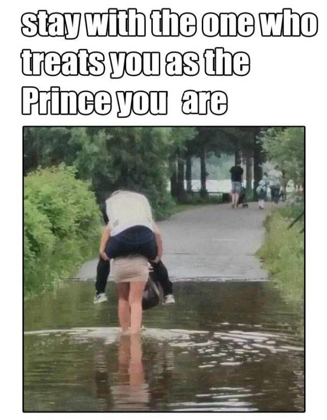 Bildschirmarbeiter - Picdump KW 46/2025