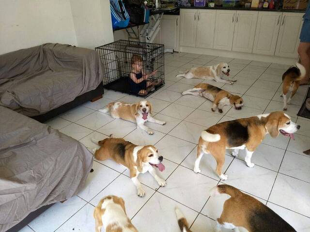 Bildschirmarbeiter - Picdump KW 46/2025