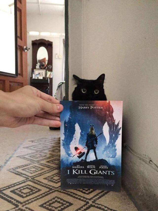 Bildschirmarbeiter - Picdump KW 46/2025