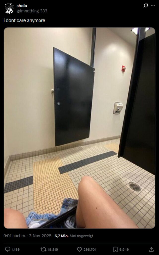 Bildschirmarbeiter - Picdump KW 46/2025