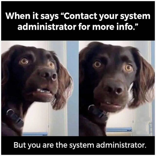 Bildschirmarbeiter - Picdump KW 46/2025