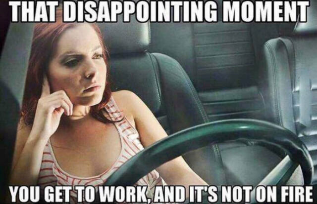 Bildschirmarbeiter - Picdump KW 46/2025