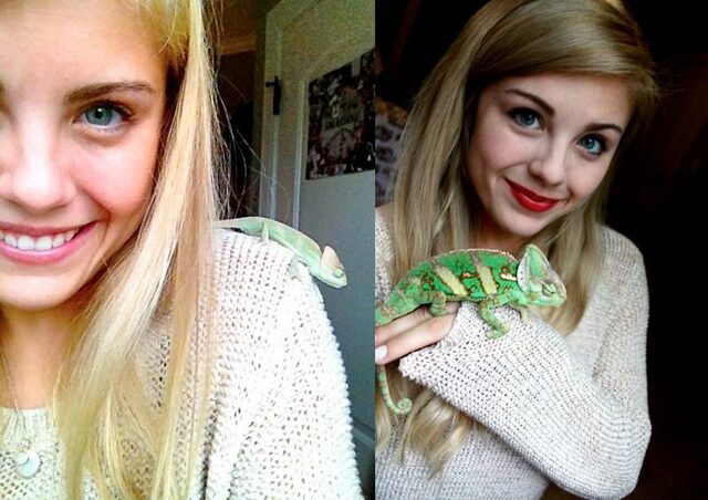 Bildschirmarbeiter - Picdump KW 46/2025