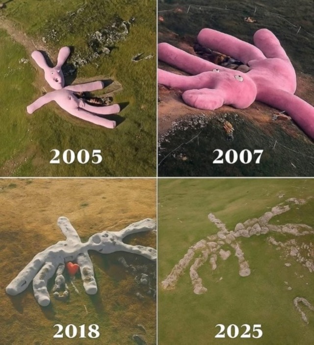 Bildschirmarbeiter - Picdump KW 46/2025