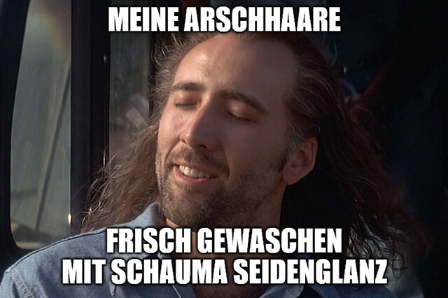 Bildschirmarbeiter - Picdump KW 46/2025