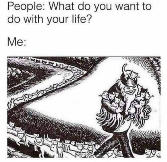 Nachschlag - Bildschirmarbeiter - Picdump KW47 2021