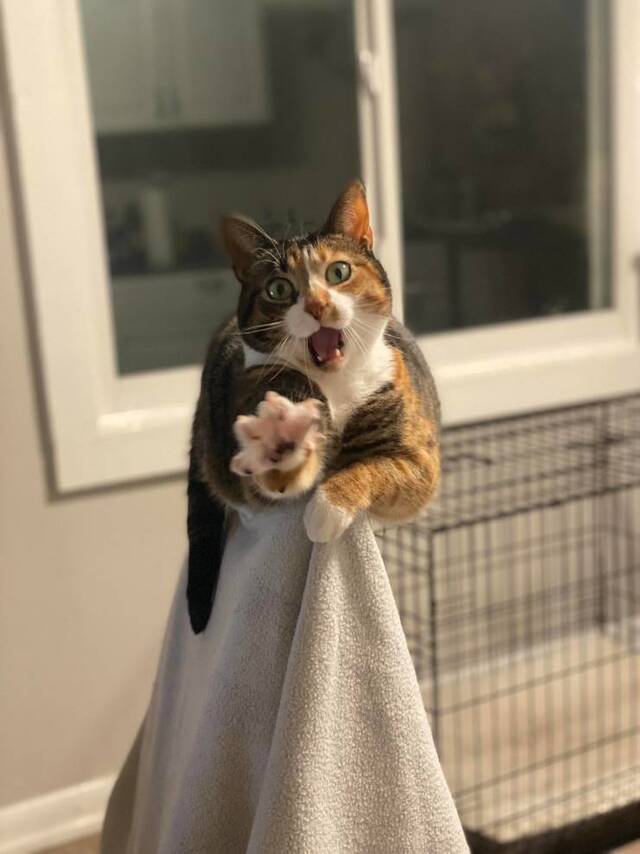 Nachschlag - Bildschirmarbeiter - Picdump KW47 2021