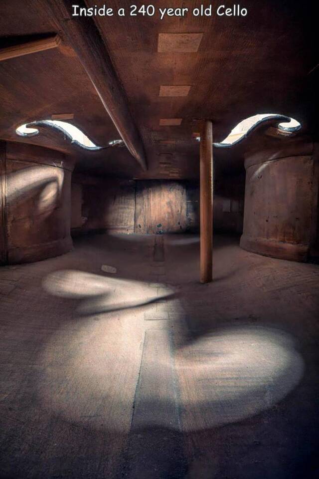 Nachschlag - Bildschirmarbeiter - Picdump KW47 2021