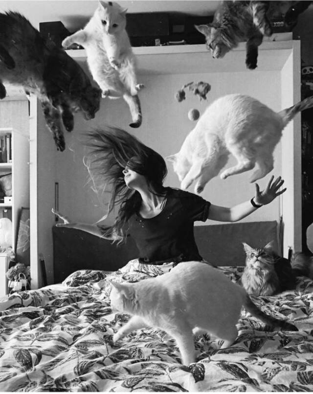 Nachschlag - Bildschirmarbeiter - Picdump KW47 2021