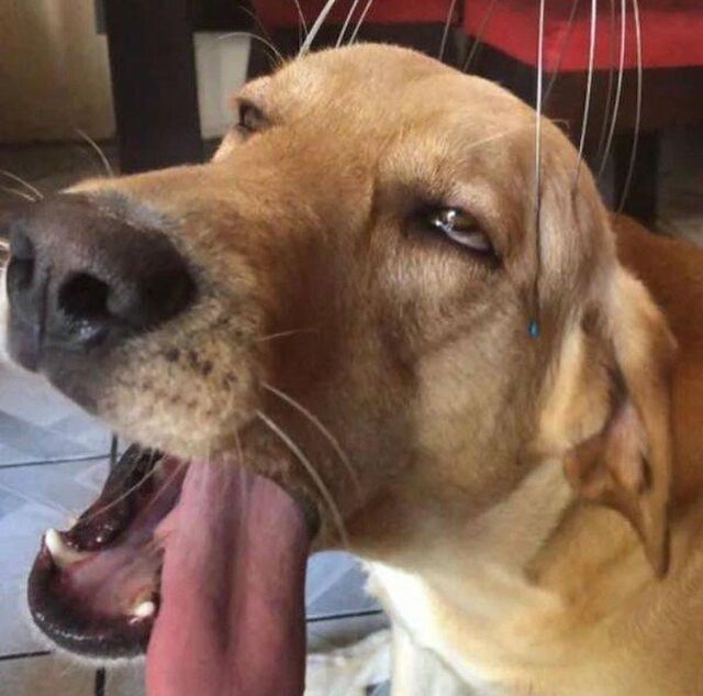 Nachschlag - Bildschirmarbeiter - Picdump KW47 2021