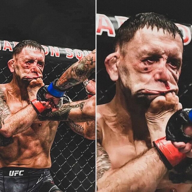 Nachschlag - Bildschirmarbeiter - Picdump KW47 2021