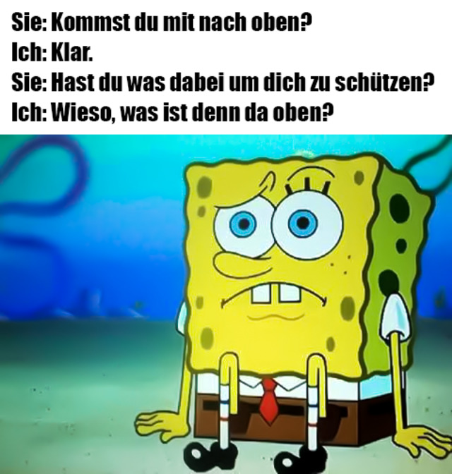 Nachschlag - Bildschirmarbeiter - Picdump KW47 2021