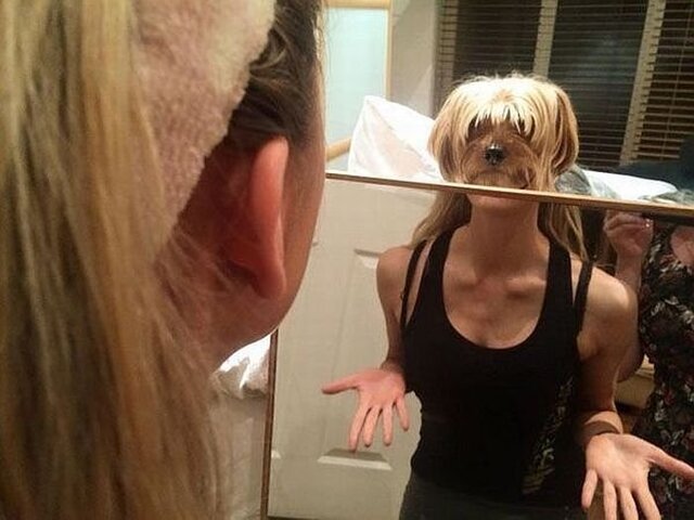 Bildschirmarbeiter - Picdump KW 47/2025